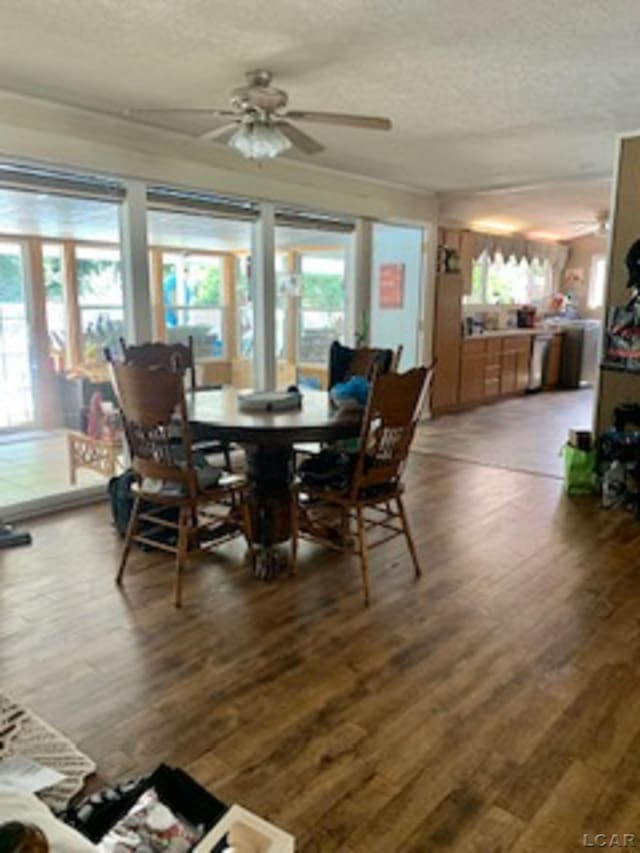 1130 Abbott Ct, Adrian, MI 49221 - photo 6