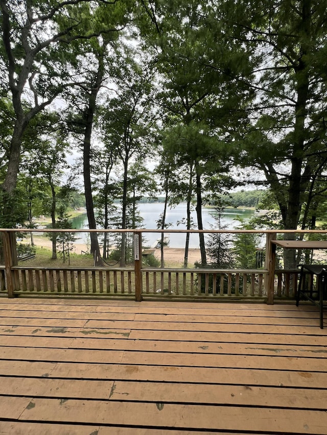 16657 S Star Lake Dr, Baldwin, MI 49304 - photo 18