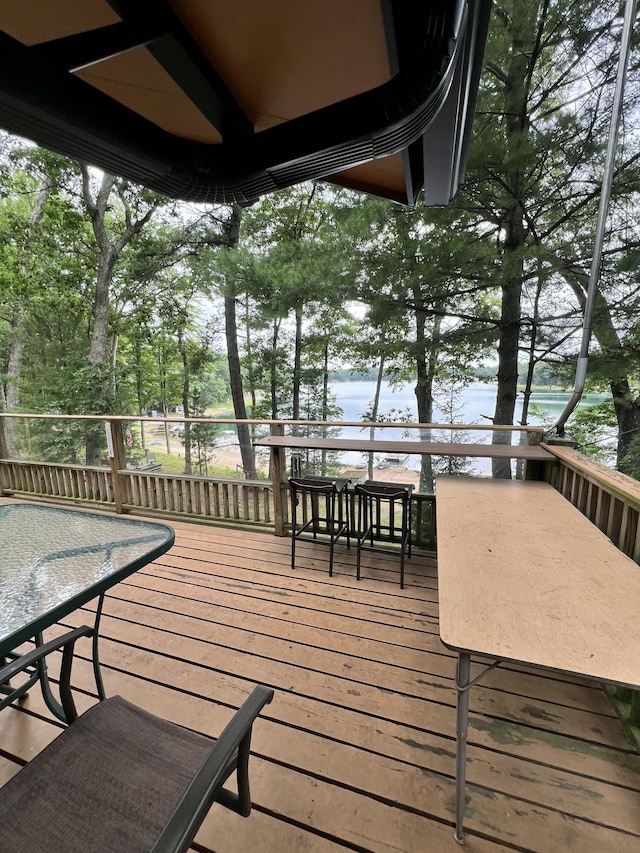 16657 S Star Lake Dr, Baldwin, MI 49304 - photo 20