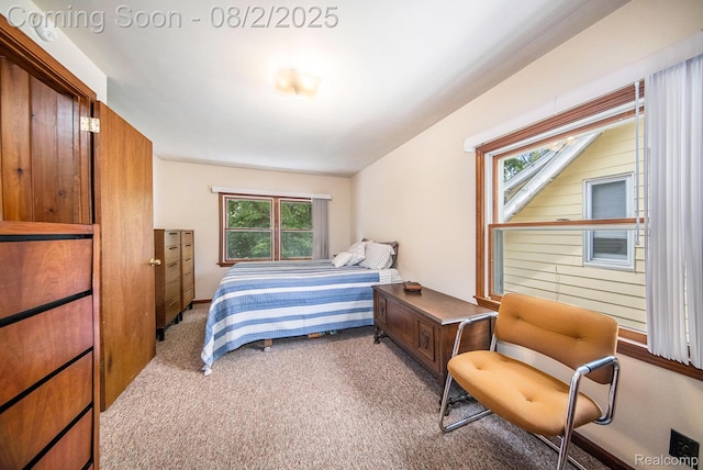 924 Woodlawn Ave, Ann Arbor, MI 48104 - photo 14