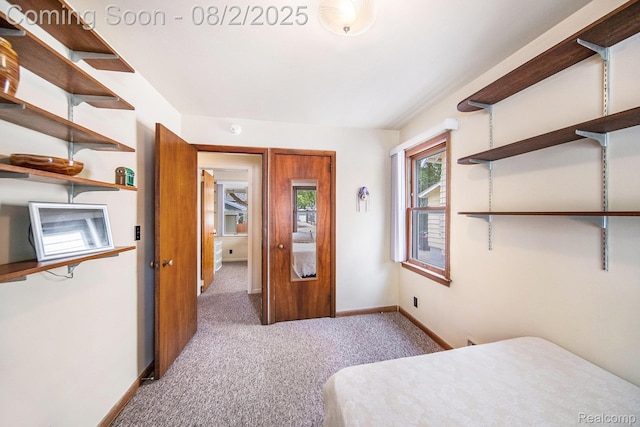924 Woodlawn Ave, Ann Arbor, MI 48104 - photo 19