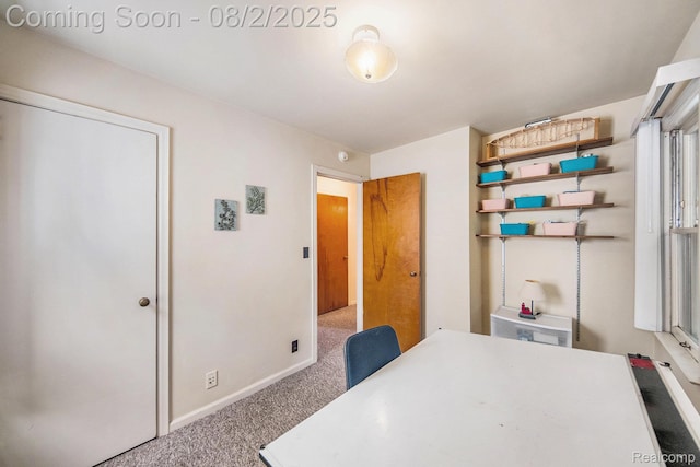 924 Woodlawn Ave, Ann Arbor, MI 48104 - photo 17