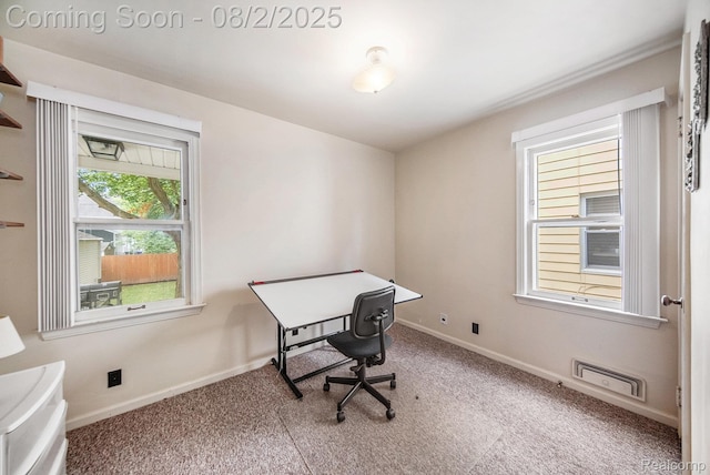 924 Woodlawn Ave, Ann Arbor, MI 48104 - photo 16