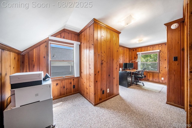924 Woodlawn Ave, Ann Arbor, MI 48104 - photo 10