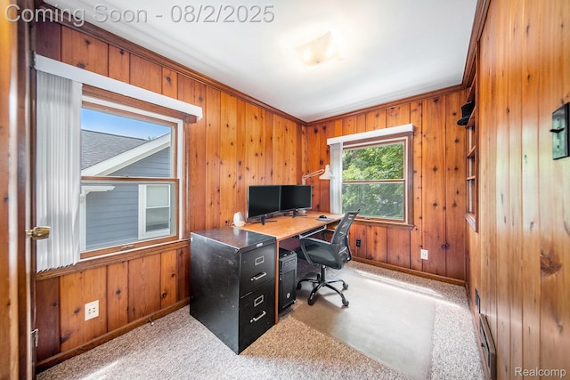 924 Woodlawn Ave, Ann Arbor, MI 48104 - photo 9
