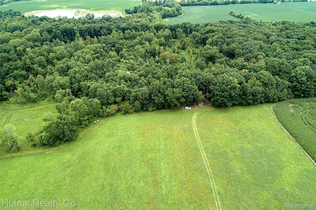 4251 E Frances Rd, Mount Morris, MI 48458 - photo 50