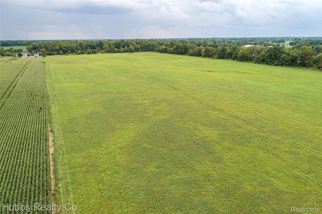 4251 E Frances Rd, Mount Morris, MI 48458 - photo 44