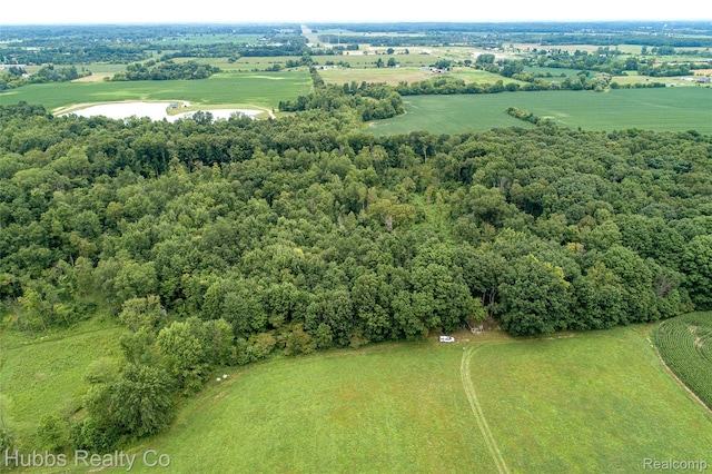 4251 E Frances Rd, Mount Morris, MI 48458 - photo 46