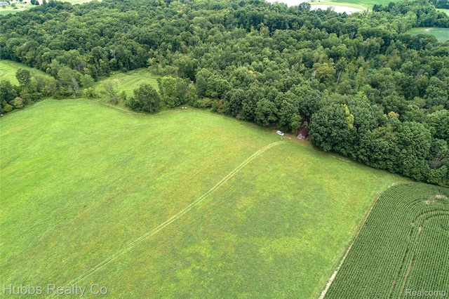 4251 E Frances Rd, Mount Morris, MI 48458 - photo 48