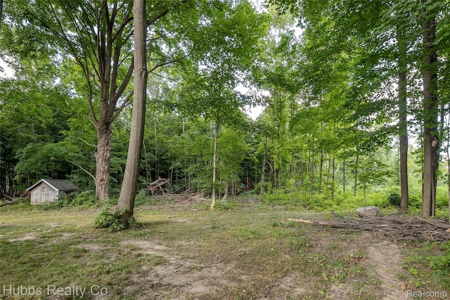 4251 E Frances Rd, Mount Morris, MI 48458 - photo 11