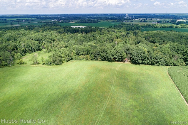4251 E Frances Rd, Mount Morris, MI 48458 - photo 9