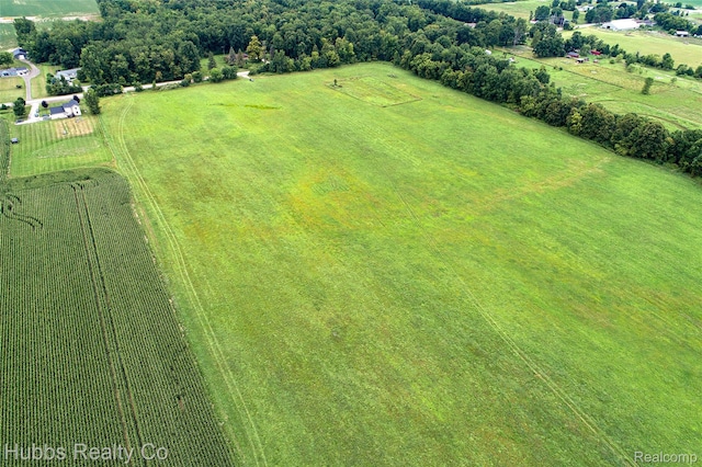 4251 E Frances Rd, Mount Morris, MI 48458 - photo 49