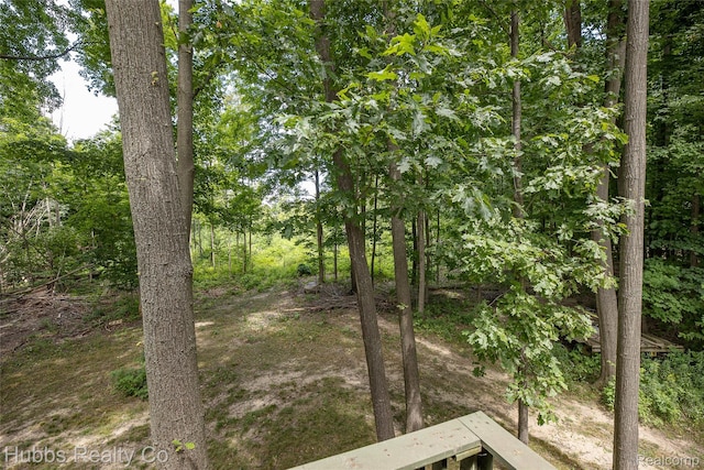 4251 E Frances Rd, Mount Morris, MI 48458 - photo 29