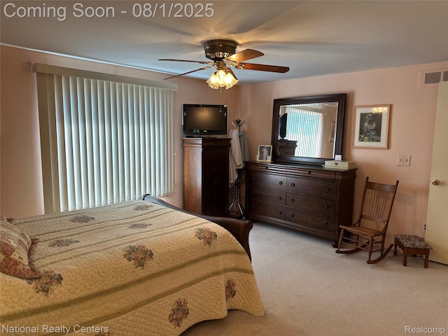 1213 E Franciscan Ct, Canton, MI 48187 - photo 30