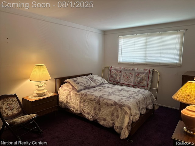 1213 E Franciscan Ct, Canton, MI 48187 - photo 33