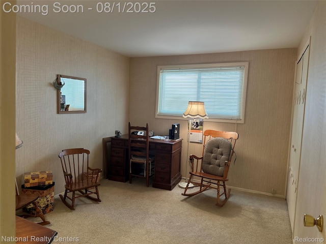 1213 E Franciscan Ct, Canton, MI 48187 - photo 35
