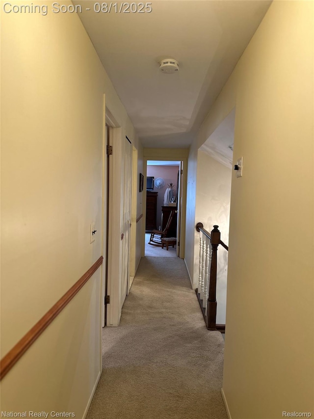 1213 E Franciscan Ct, Canton, MI 48187 - photo 36