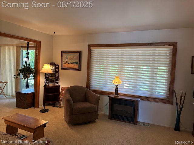 1213 E Franciscan Ct, Canton, MI 48187 - photo 25