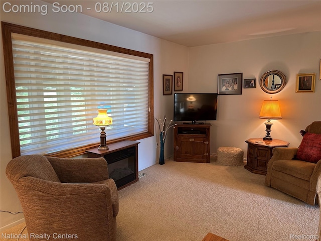 1213 E Franciscan Ct, Canton, MI 48187 - photo 24