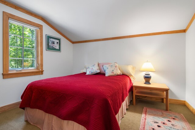 5196 Mackenzie Dr, Kewadin, MI 49648 - photo 40