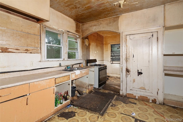 195 W Greendale, Detroit, MI 48203 - photo 5