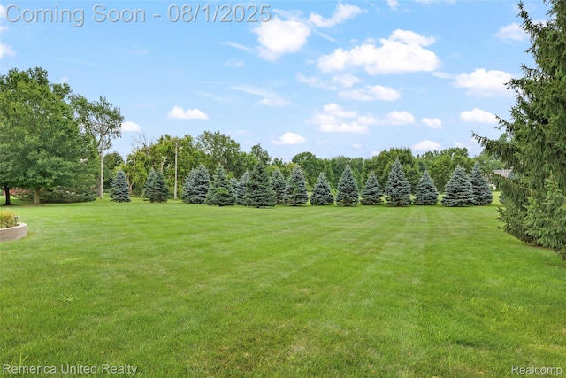 7650 5 Mile Rd, Northville, MI 48168 - photo 27