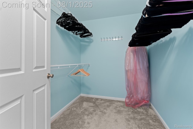 17193 Pond Dr, Clinton Township, MI 48038 - photo 20