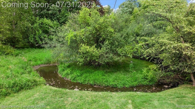 3010 Parkland Dr, West Bloomfield, MI 48322 - photo 66