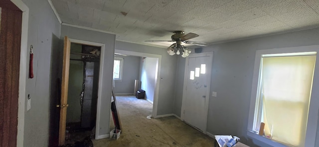 9 Cole St, Quincy, MI 49082 - photo 4