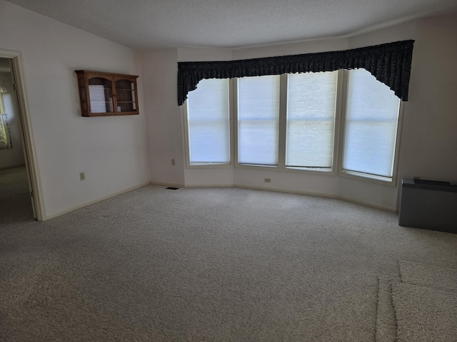 121 N Decker Ave, Fremont, MI 49412 - photo 8