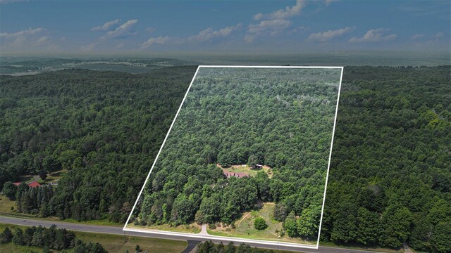 18340 Litzen Rd, Copemish, MI 49625 - photo 44
