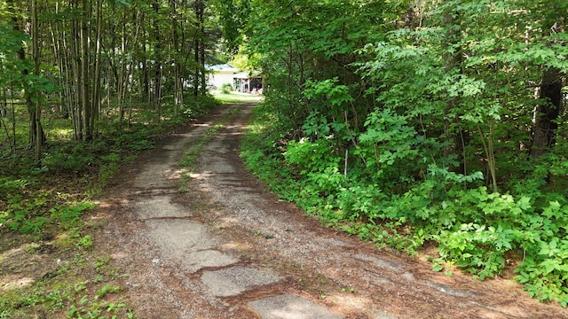 16039 Steinberg Rd, Wellston, MI 49689 - photo 2