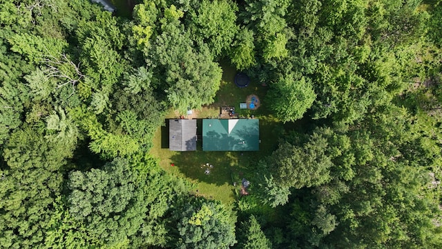 16039 Steinberg Rd, Wellston, MI 49689 - photo 5