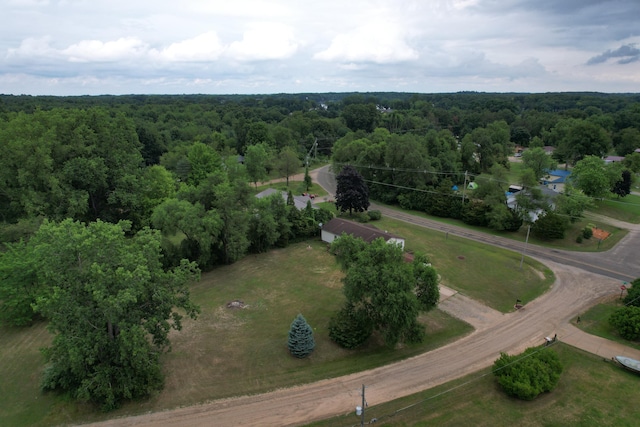 10734 Baker Rd, Jerome, MI 49249 - photo 64