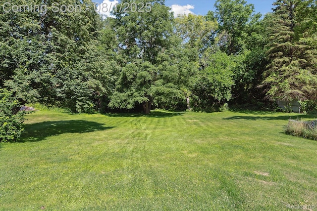 3080 Catalpa Ct, Auburn Hills, MI 48326 - photo 17