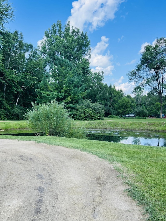4459 Kirk Rd, Vassar, MI 48768 - photo 46