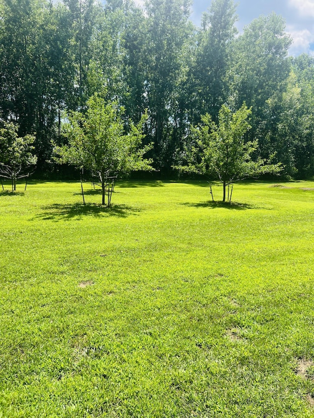4459 Kirk Rd, Vassar, MI 48768 - photo 33