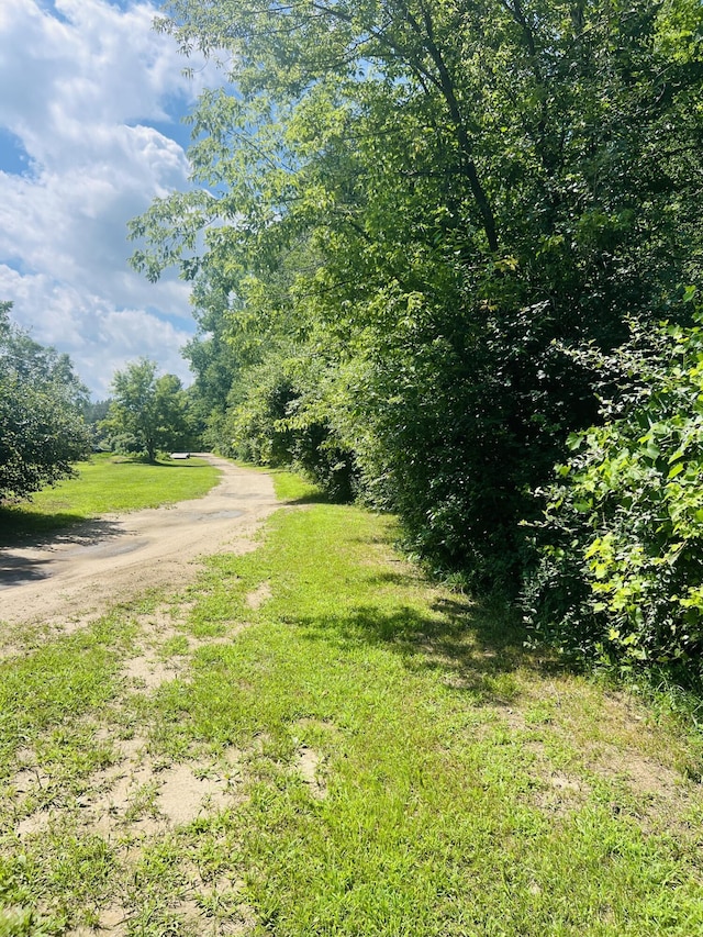 4459 Kirk Rd, Vassar, MI 48768 - photo 35