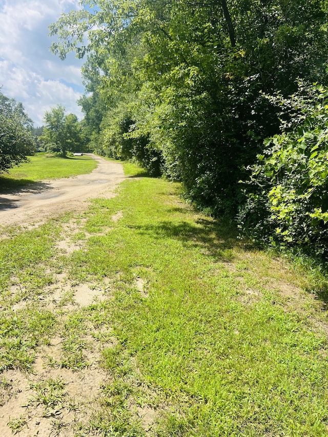 4459 Kirk Rd, Vassar, MI 48768 - photo 37