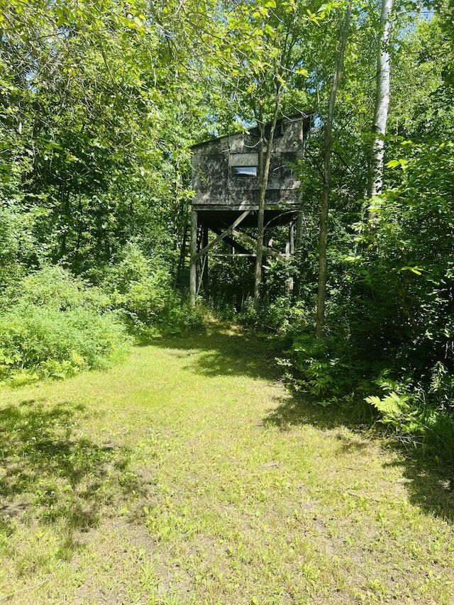 4459 Kirk Rd, Vassar, MI 48768 - photo 38