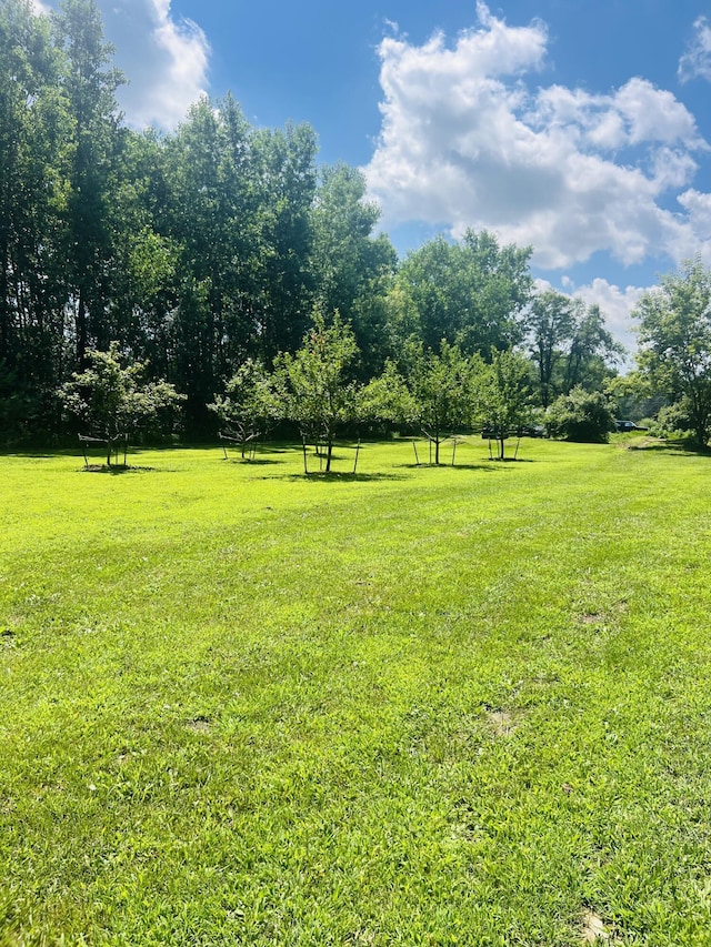 4459 Kirk Rd, Vassar, MI 48768 - photo 25