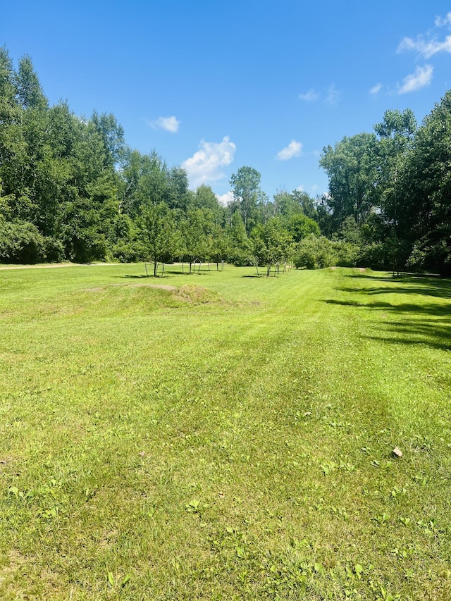 4459 Kirk Rd, Vassar, MI 48768 - photo 42