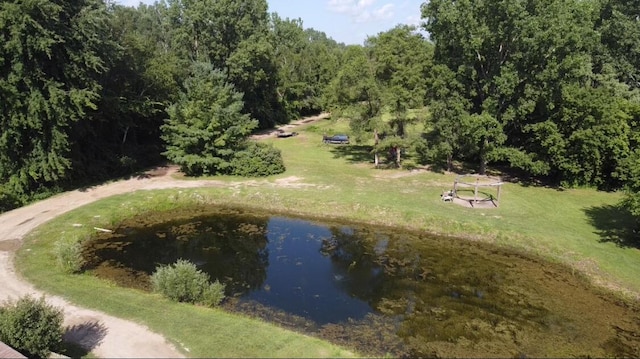 4459 Kirk Rd, Vassar, MI 48768 - photo 56