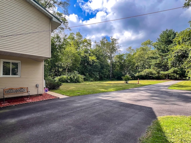 62 Madeline St, Niles, MI 49120 - photo 6