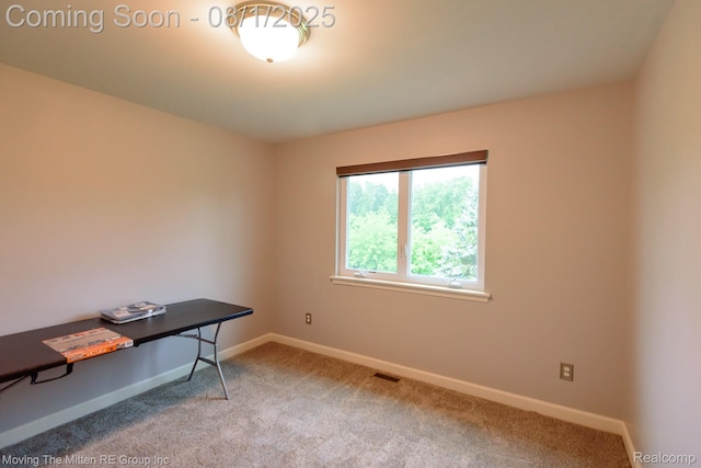 42543 Winding Pond Trl, Belleville, MI 48111 - photo 31