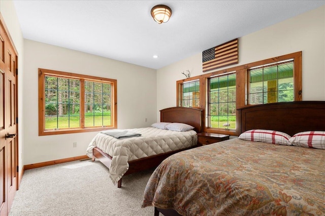 101 N Wyman Rd, Remus, MI 49340 - photo 16