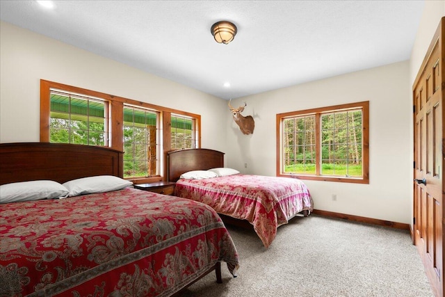 101 N Wyman Rd, Remus, MI 49340 - photo 18