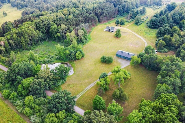 101 N Wyman Rd, Remus, MI 49340 - photo 42