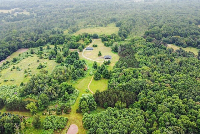 101 N Wyman Rd, Remus, MI 49340 - photo 44