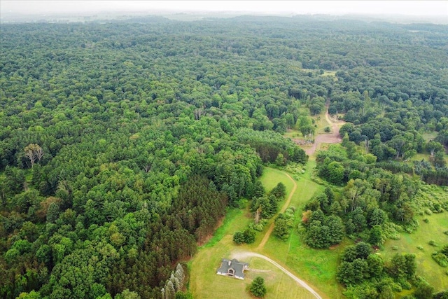 101 N Wyman Rd, Remus, MI 49340 - photo 46